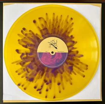 LP Bríi: Sem Propósito CLR | LTD