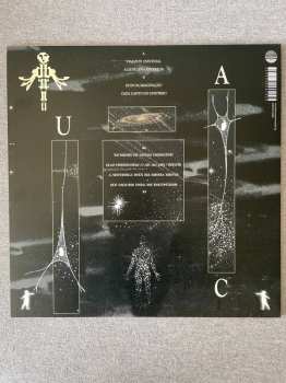 LP Bríi: Último Ancestral Comum