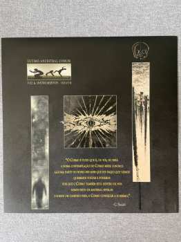 LP Bríi: Último Ancestral Comum