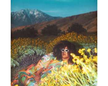 Album Brittany Howard: What Now