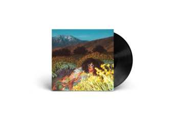 SP Brittany Howard: What Now