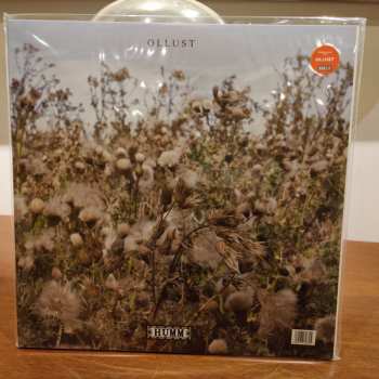 LP/CD Broads: Ollust