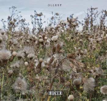 Album Broads: Ollust