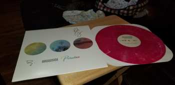 LP Broadside: Paradise LTD | CLR