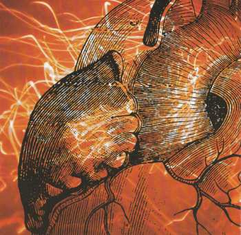 CD Bruce Cockburn: You've Never Seen Everything