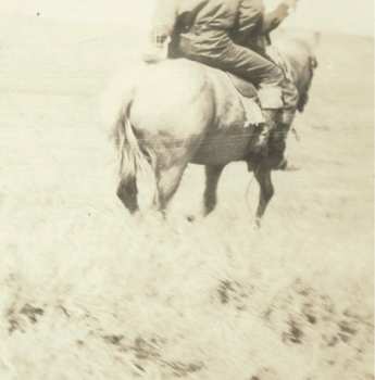 LP Bruce Langhorne: The Hired Hand