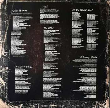 2LP Bruce Springsteen: Devils & Dust