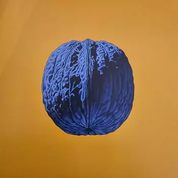 Brunori Sas: L'Albero Delle Noci