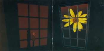 CD Bryan Beller: View