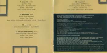 CD Bryan Beller: View