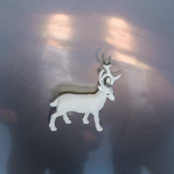 Album Buck Gooter: Stainless Steel Mirrors 