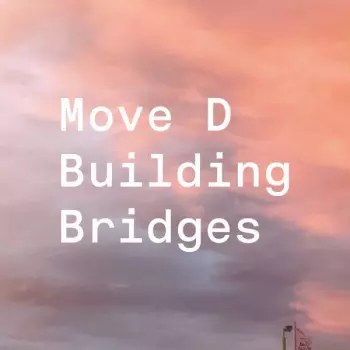 Move D: Building Bridges
