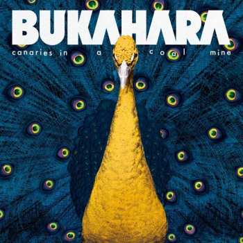 LP Bukahara: Canaries In A Coalmine