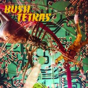 SP Bush Tetras: There Is A Hum / Seven Years