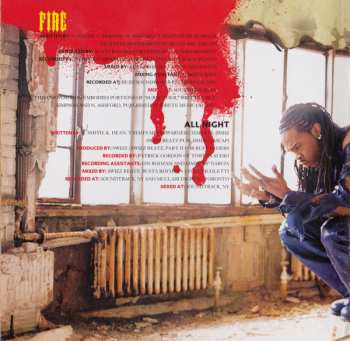 CD Busta Rhymes: Anarchy