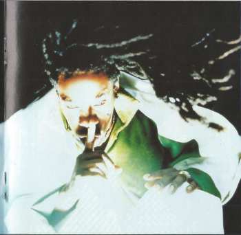 CD Busta Rhymes: Turn It Up! The Very Best Of