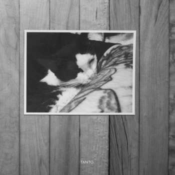 Album bvdub: Tanto