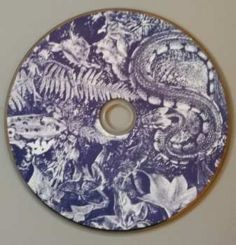 CD Bysshe: FOREVER IN THE EYE OF CHANGE