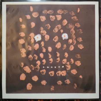 LP Current 93: Dawn Yawns CLR | LTD