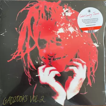 Gadzooks Vol. 2