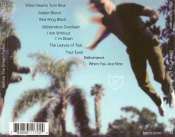 CD Calvin Johnson: Before The Dream Faded...