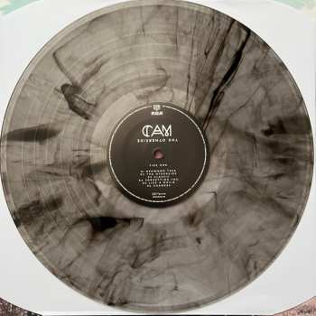 LP Cam: The Otherside