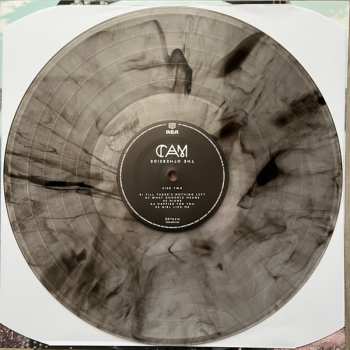 LP Cam: The Otherside