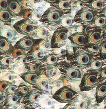 LP Camera Obscura: My Maudlin Career