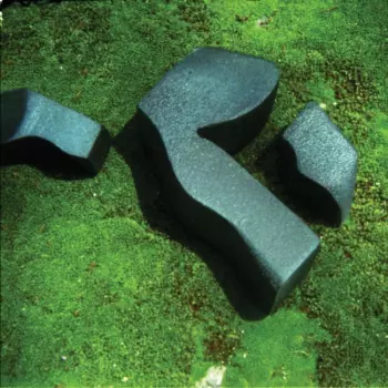 Camila Fuchs: Heart Pressed Between Stones