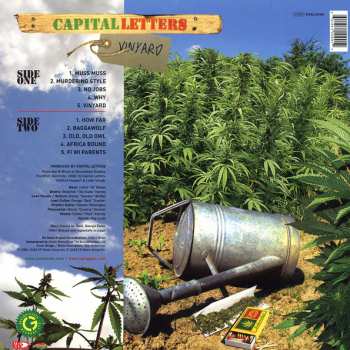 LP Capital Letters: Vinyard