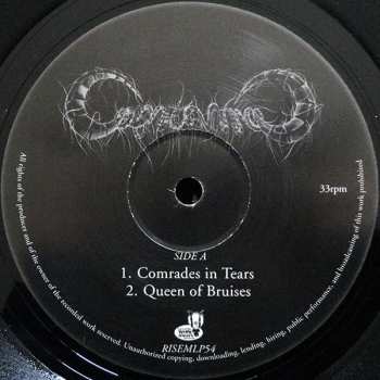 LP Capricorns: Capricorns