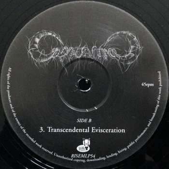 LP Capricorns: Capricorns