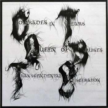 LP Capricorns: Capricorns