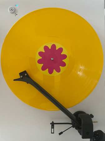 LP Caribou: Honey CLR | LTD