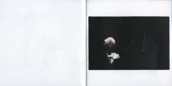 CD Steve Swallow: Trios