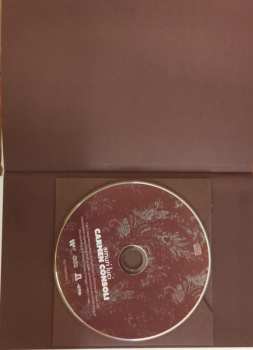 CD Carmen Consoli: Amuri Luci