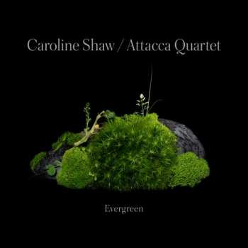 CD Caroline Shaw: Evergreen