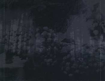 3CD/Doos Carpathian Forest: The Fucking Evil Years