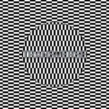 LP/CD Carter Tutti Void: Transverse