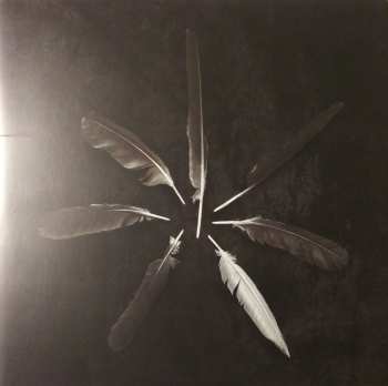 Album Caspian: Dust And Disquiet