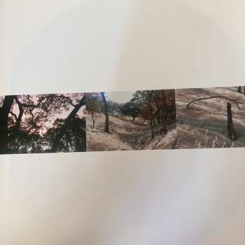 2LP Cass McCombs: Interior Live Oak