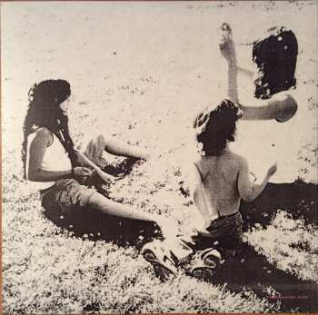 LP Cat Power: You Are Free