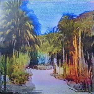 Album Cat System Corp.: Yuki