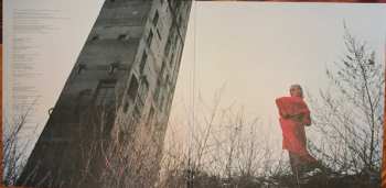 LP Cate Le Bon: Reward