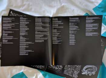 LP Catfish And The Bottlemen: The Ride