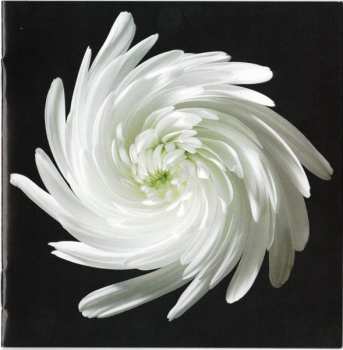 CD Catia Werneck: Jongando