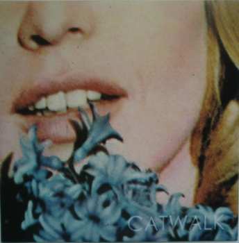 SP Catwalk: (Please) Don't Break Me