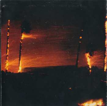 CD Hole: Celebrity Skin