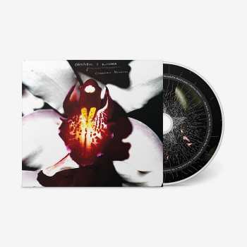 CD David Lynch: Cellophane Memories
