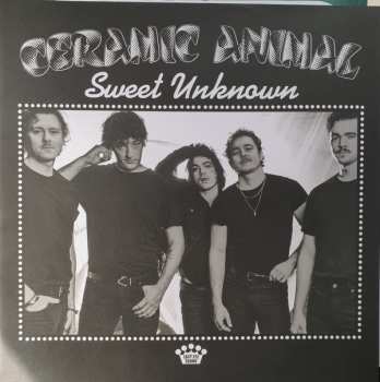 LP Ceramic Animal: Sweet Unknown CLR | LTD